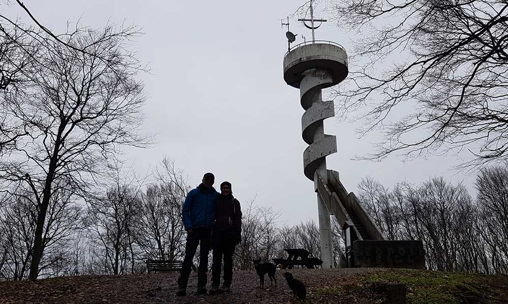 Tulbinger Kogel