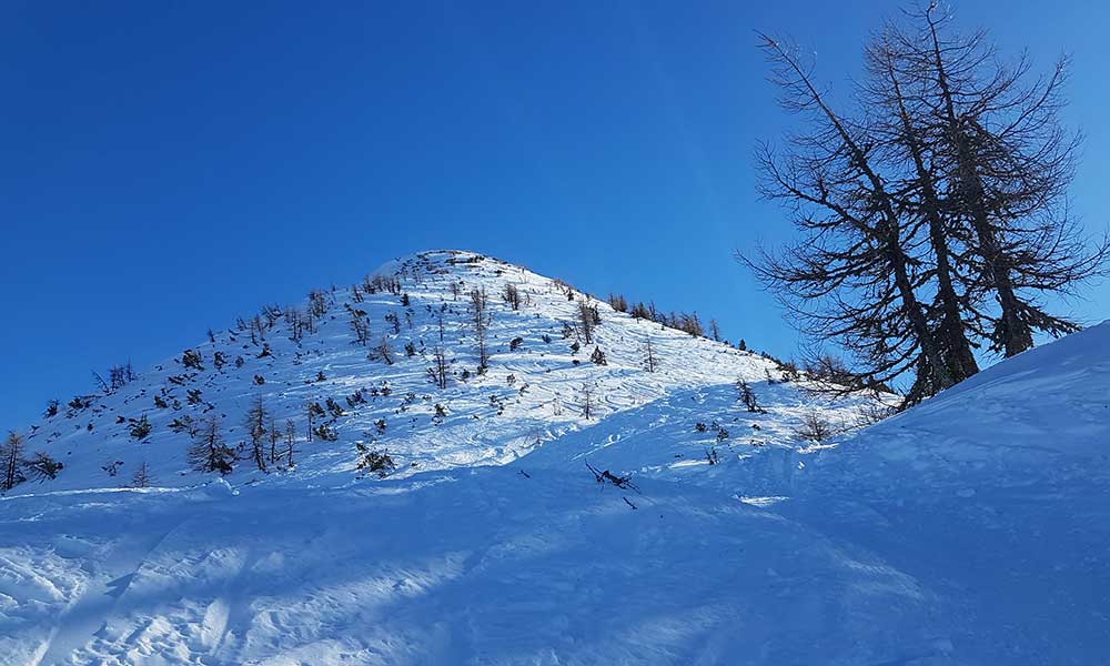 Lackenkogel