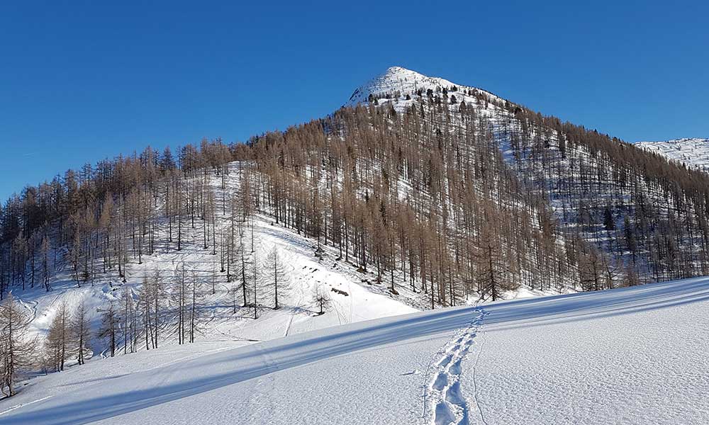 Lackenkogel