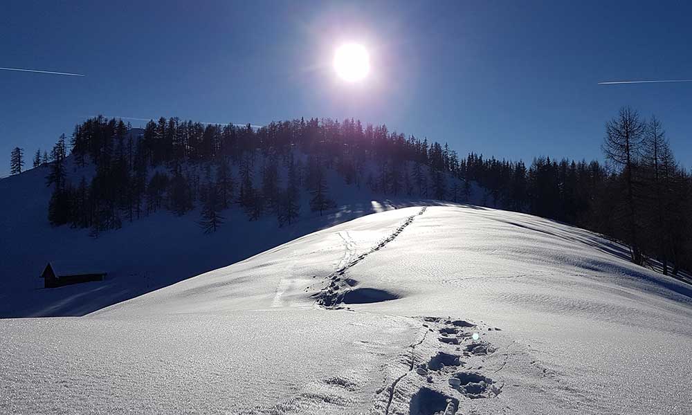 Lackenkogel