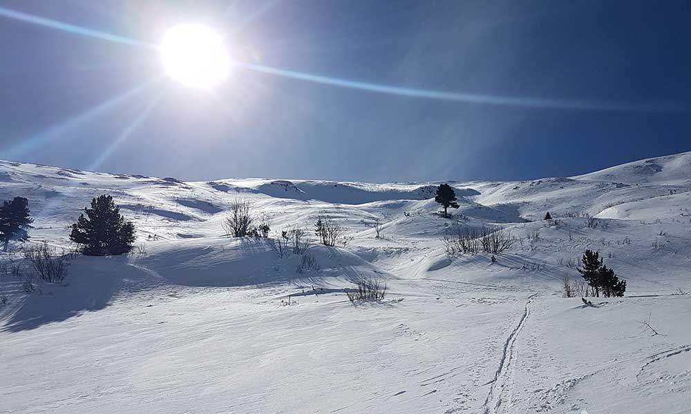 Bruderkogel