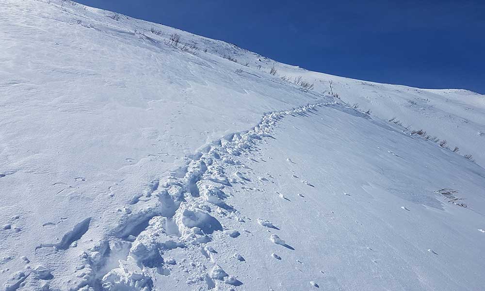 Bruderkogel