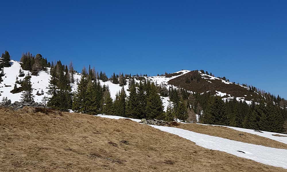 Plotschenkogel