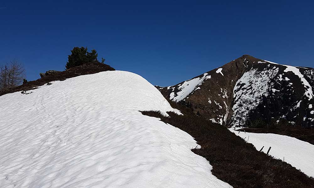 Plotschenkogel