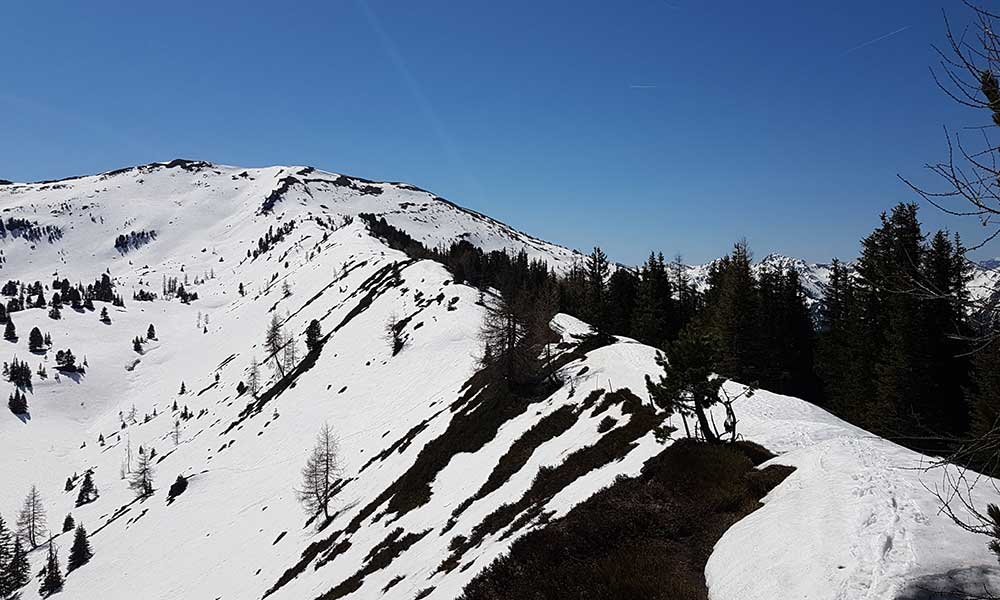 Plotschenkogel