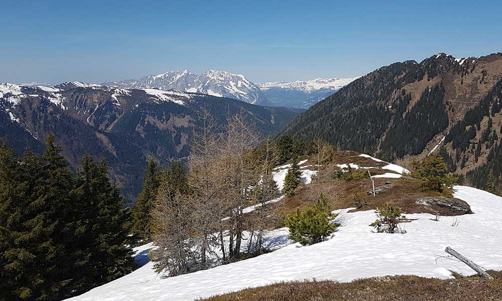 Plotschenkogel