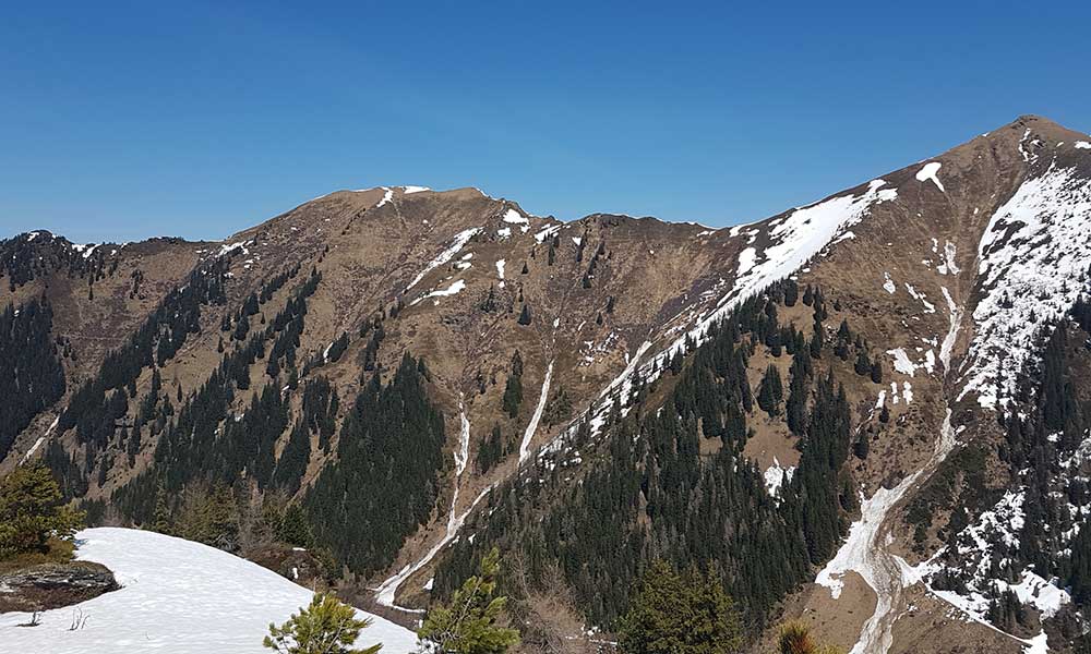 Plotschenkogel