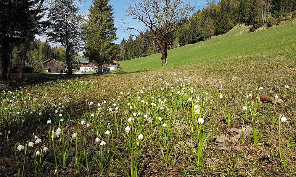 Hoher Raschberg