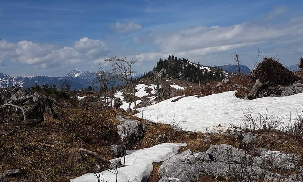 Hoher Raschberg