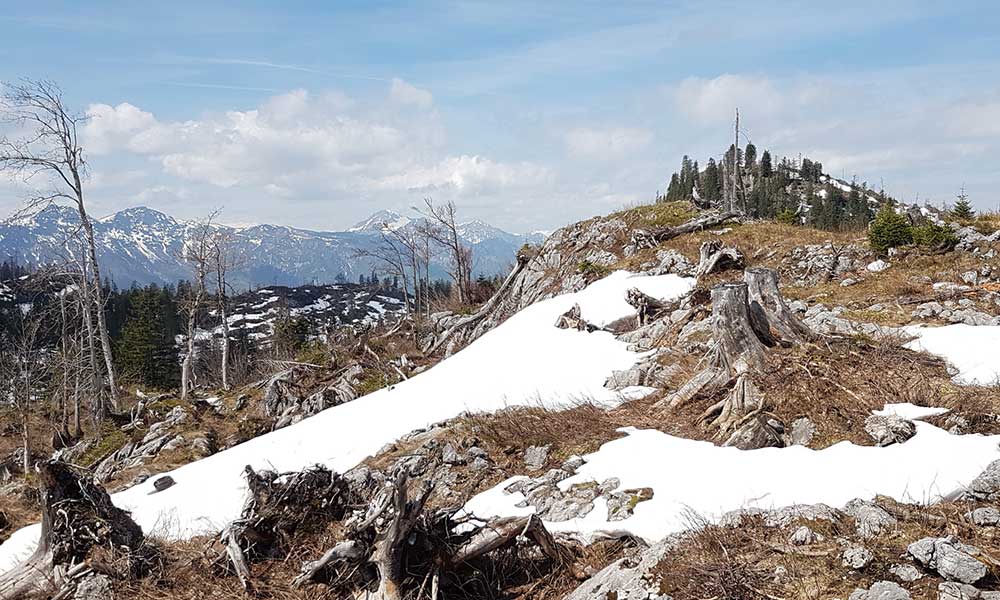 Hoher Raschberg