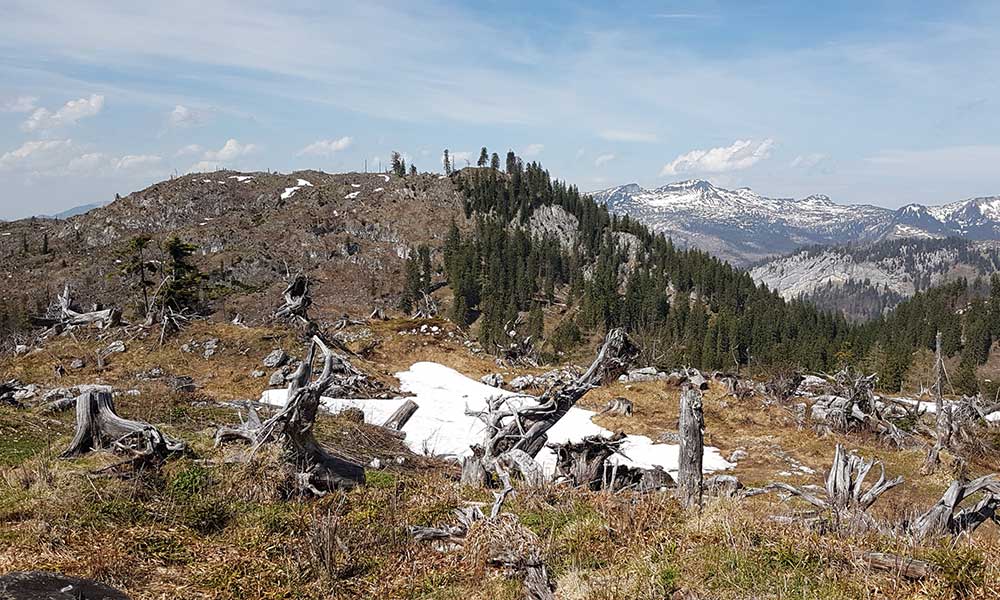 Hoher Raschberg