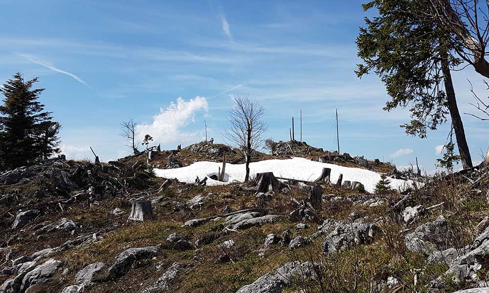 Hoher Raschberg