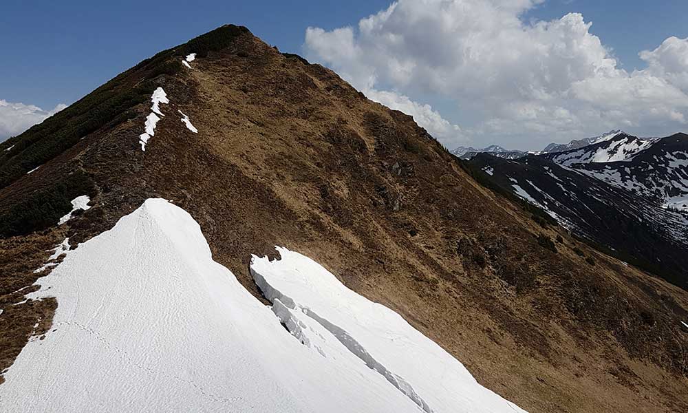 Lämmertörlkopf