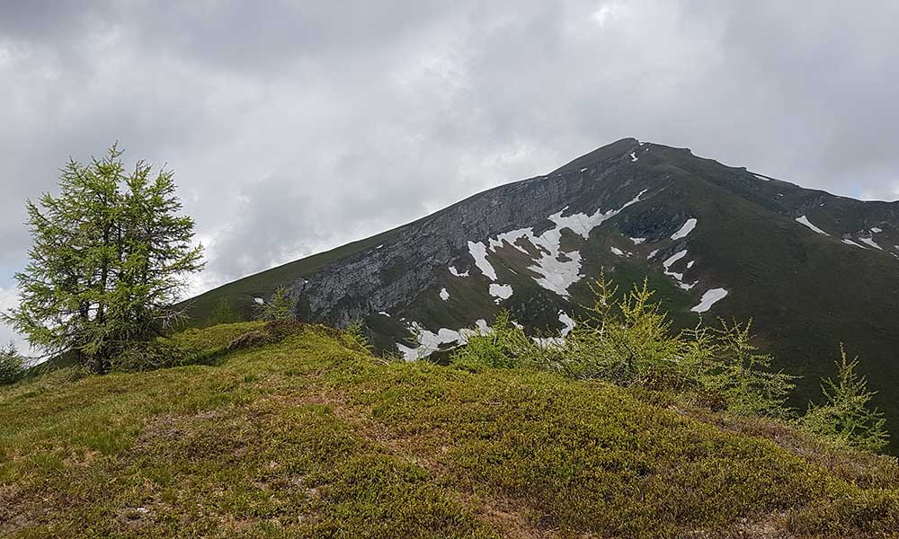 Sternspitze