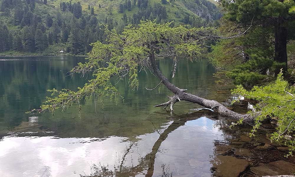 Bösenstein