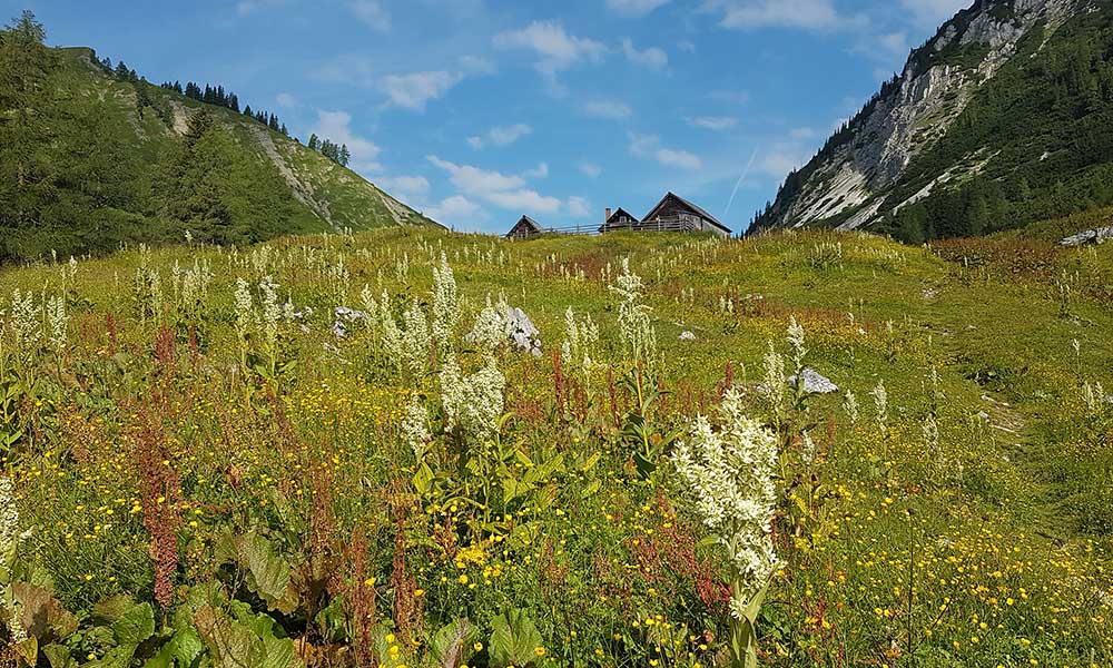 Hochmölbing