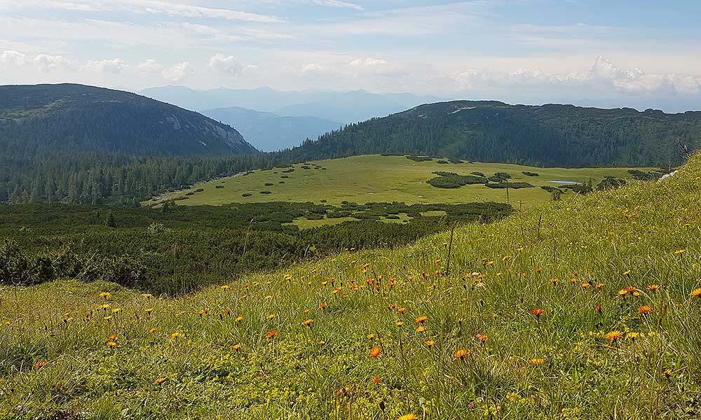 Hochmölbing