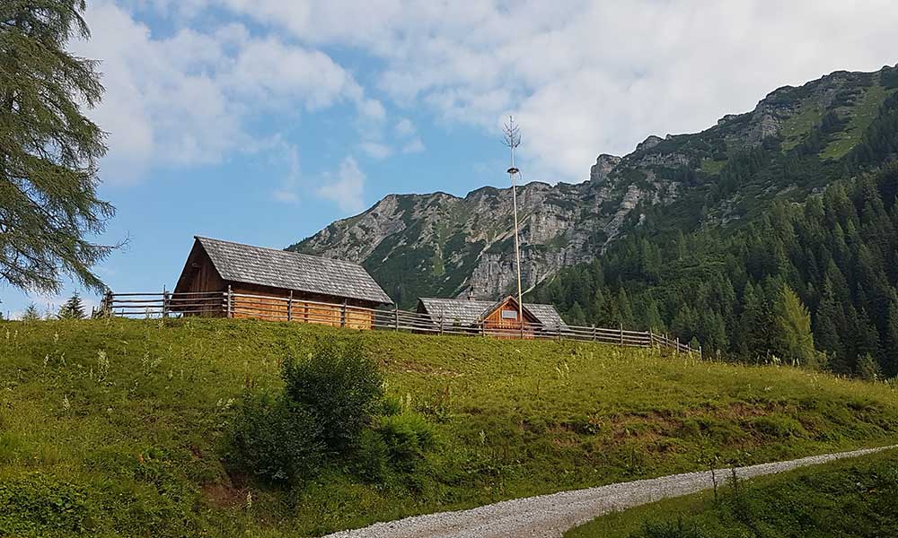 Bärenfeuchtmölbling