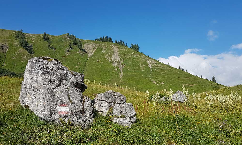 Bärenfeuchtmölbling