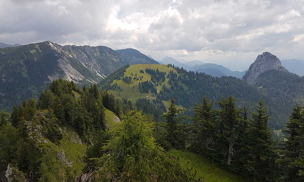 Bärenfeuchtmölbling