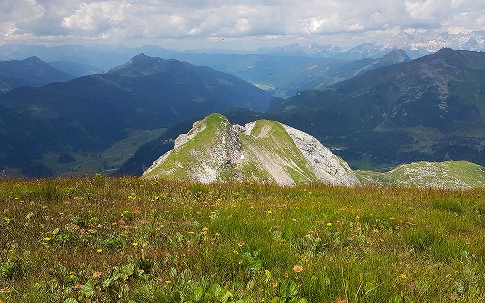 Glöcknerin