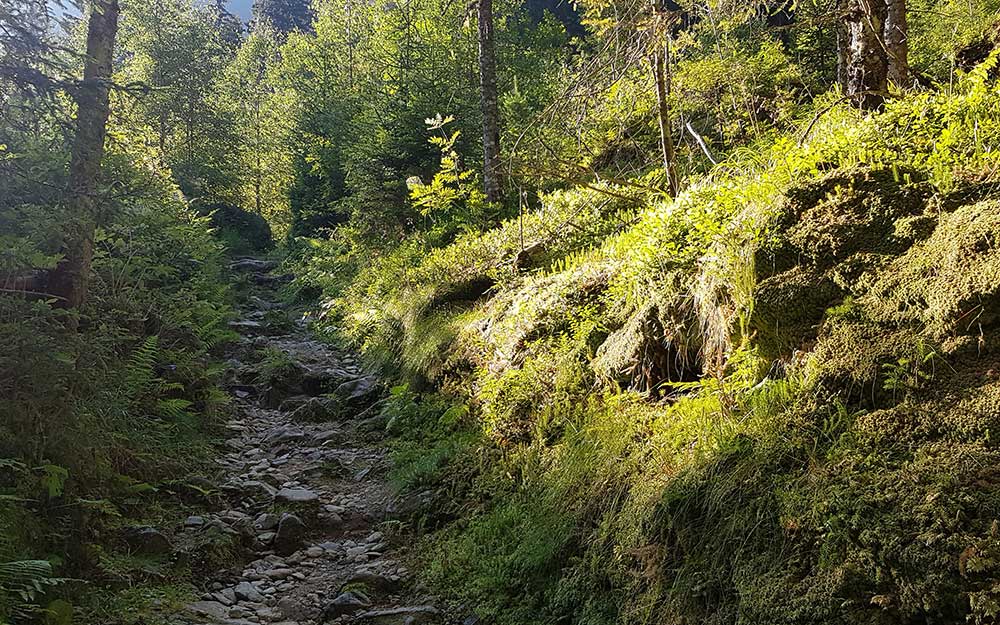 Engelkarspitze