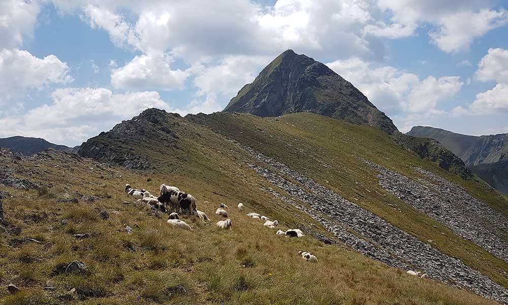 Hochstubofen