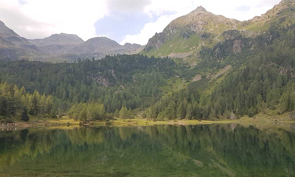 Grobfeldspitze