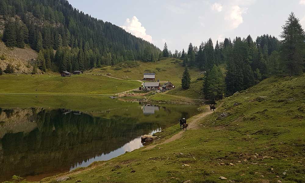 Grobfeldspitze