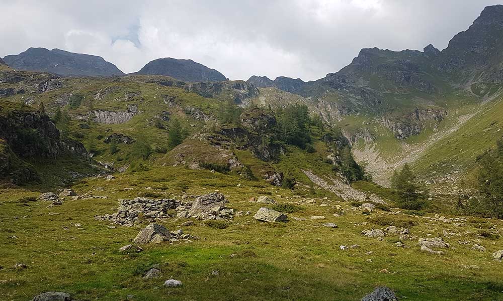 Grobfeldspitze