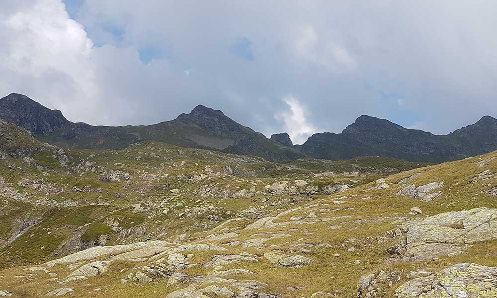 Grobfeldspitze