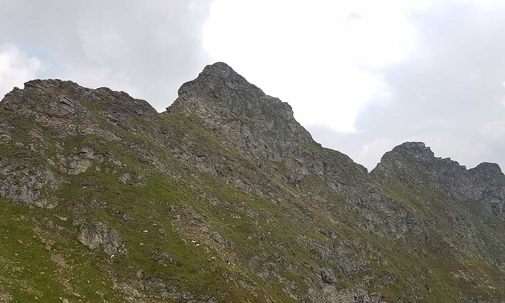 Grobfeldspitze