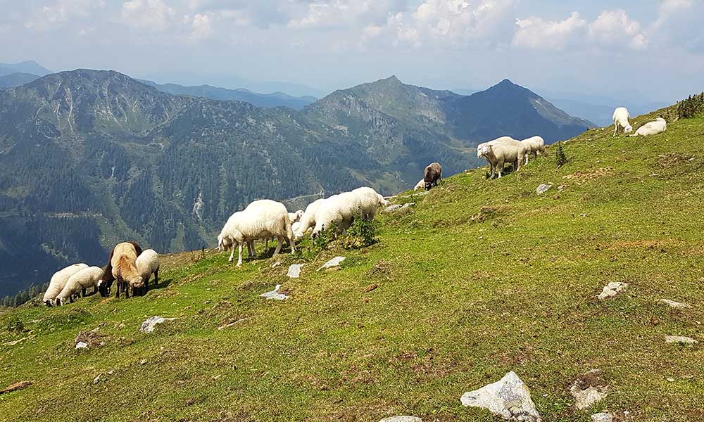 Giglachhöhenweg