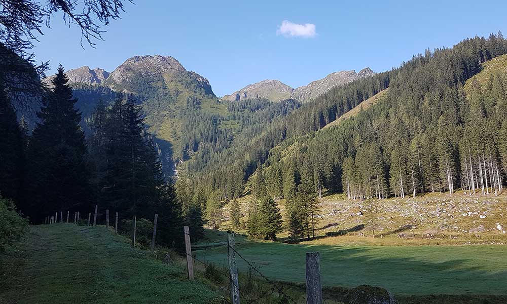 Gamskarlspitze