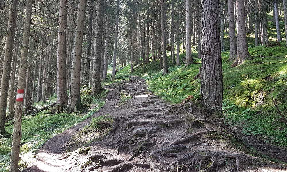 Lackenkogel