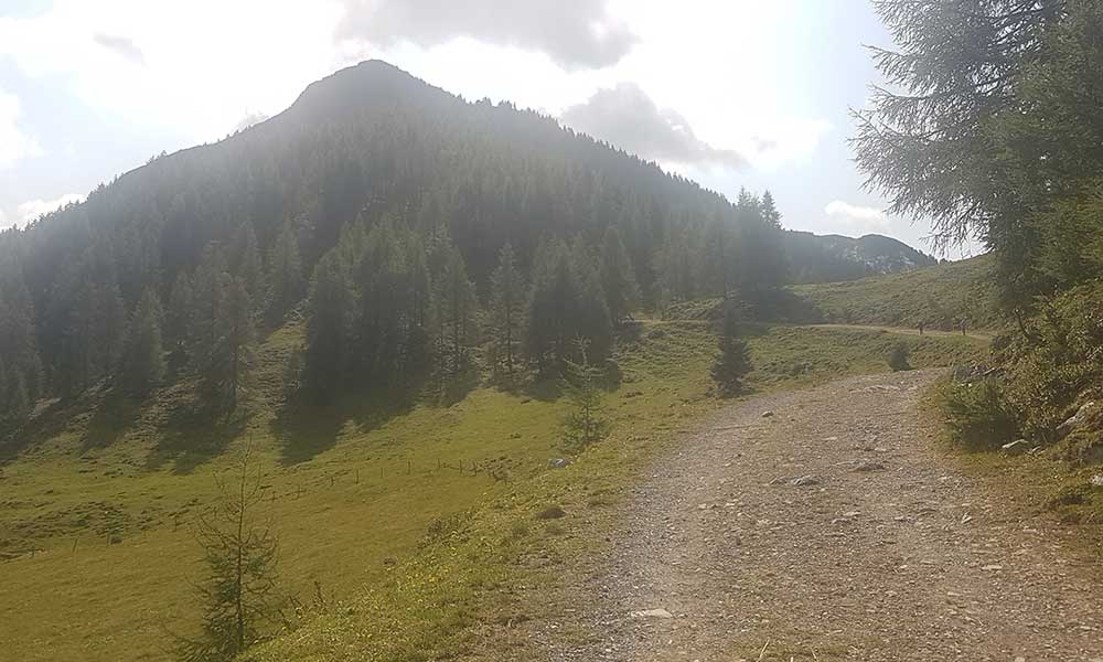 Lackenkogel