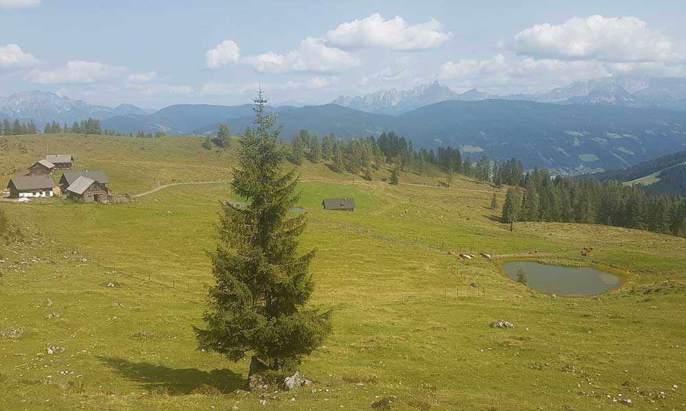 Lackenkogel