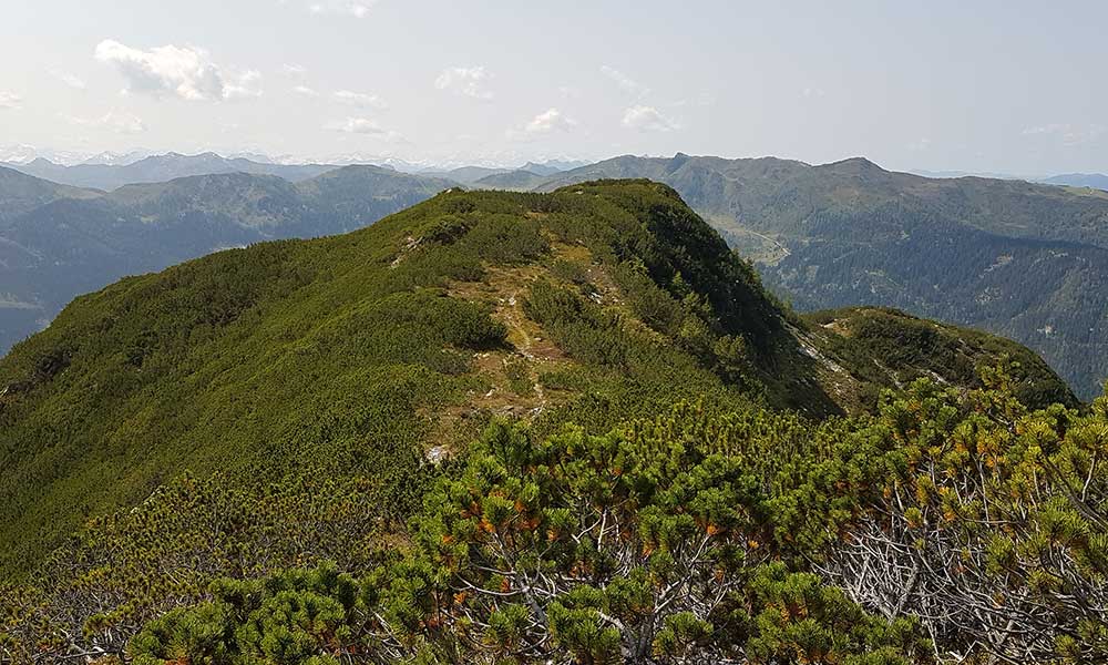 Lackenkogel