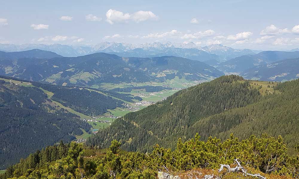 Lackenkogel