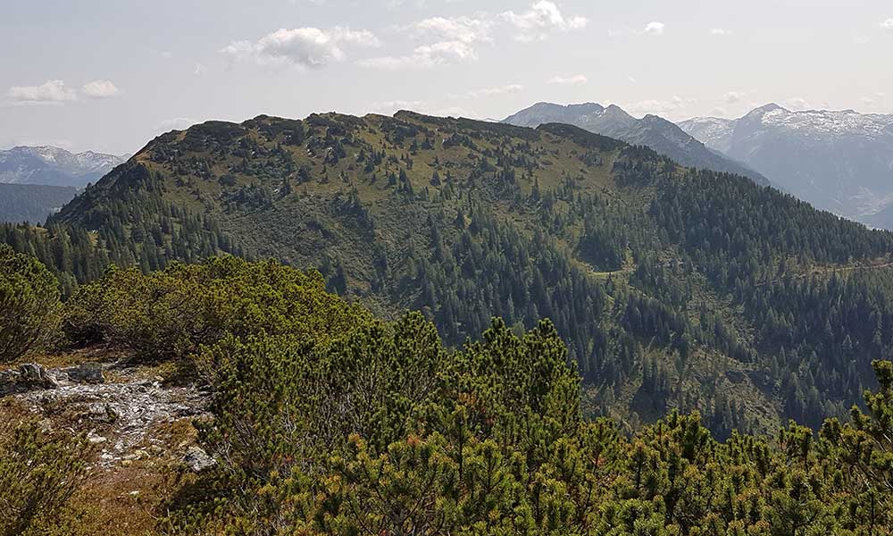 Lackenkogel