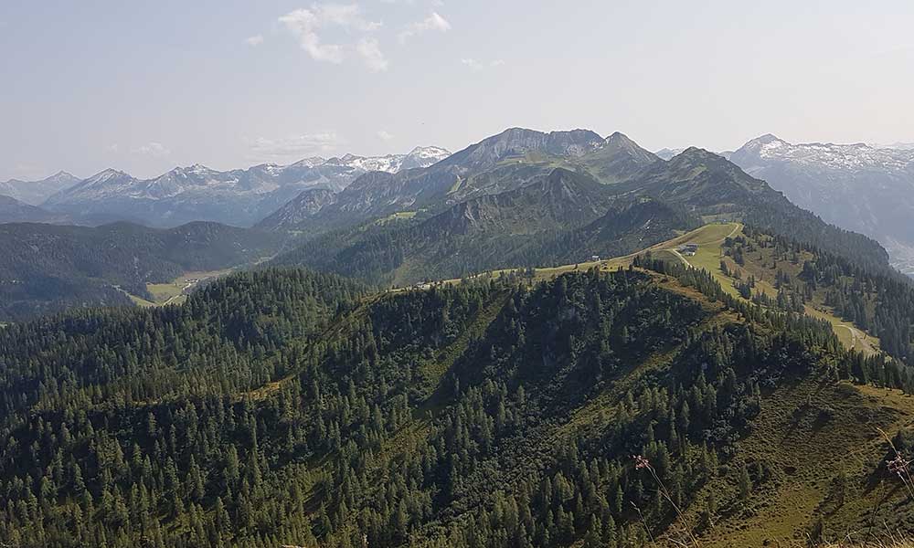 Lackenkogel