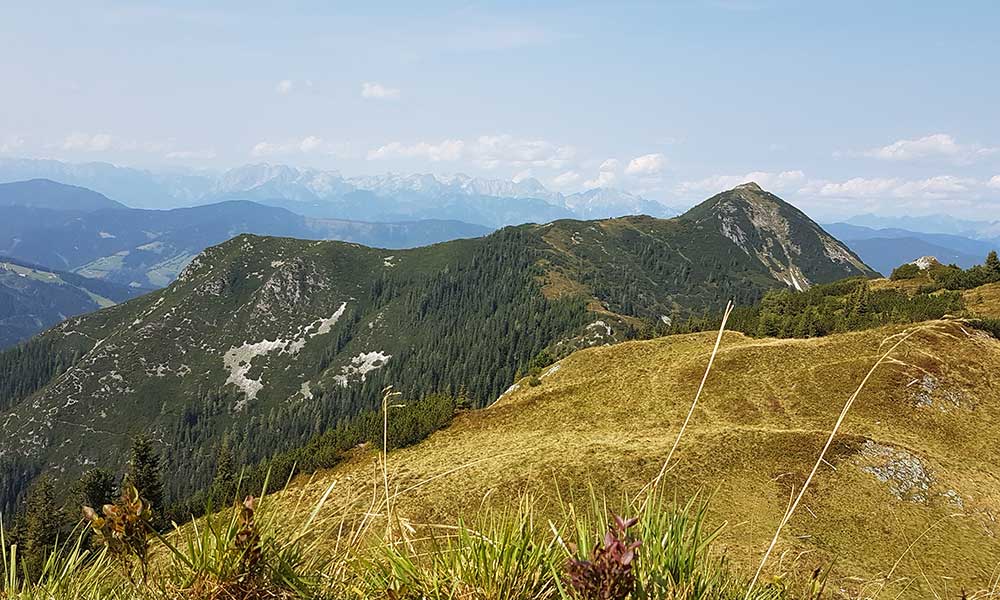 Lackenkogel