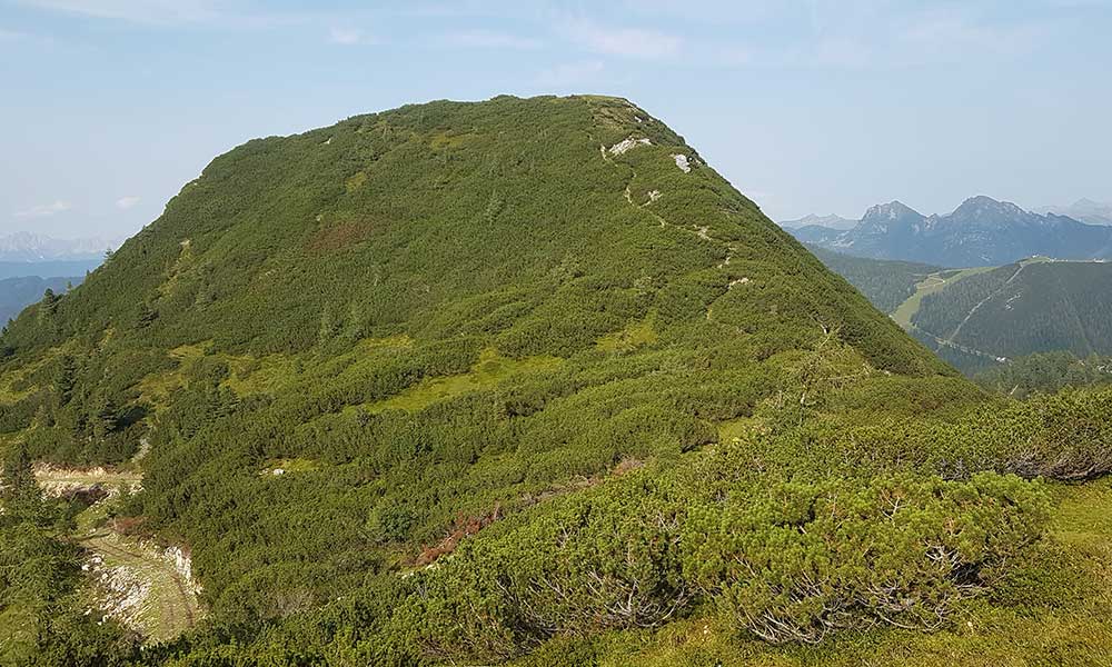 Lackenkogel