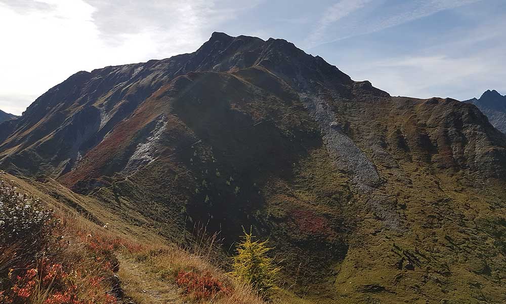 Lutterkopf