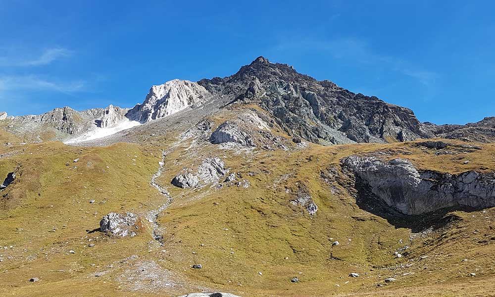 Lutterkopf