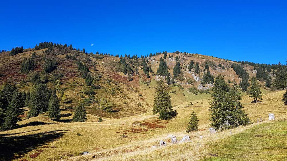 Himmelkogel