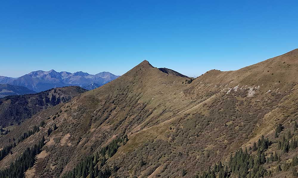 Himmelkogel