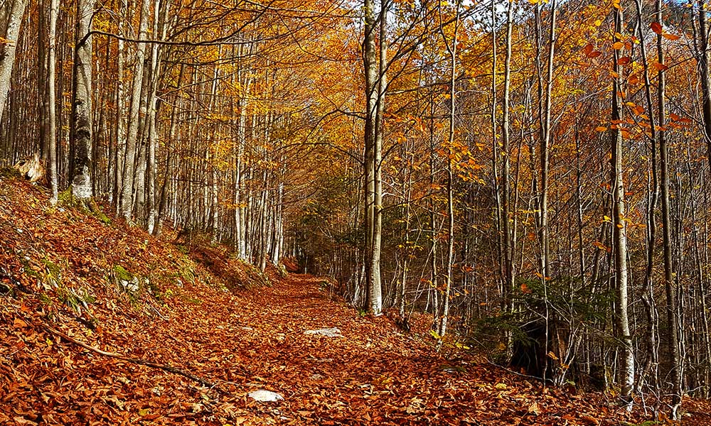 Dreibrüderkogel