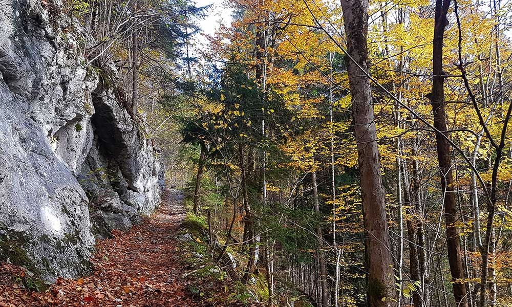 Dreibrüderkogel