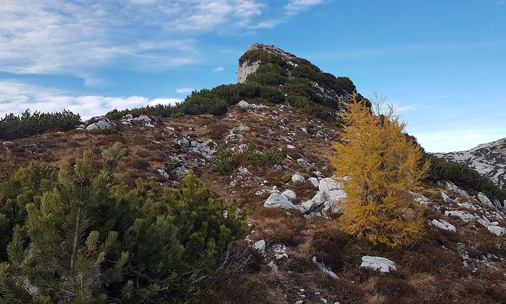 Dreibrüderkogel